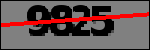 Text der identifiziert werden soll
