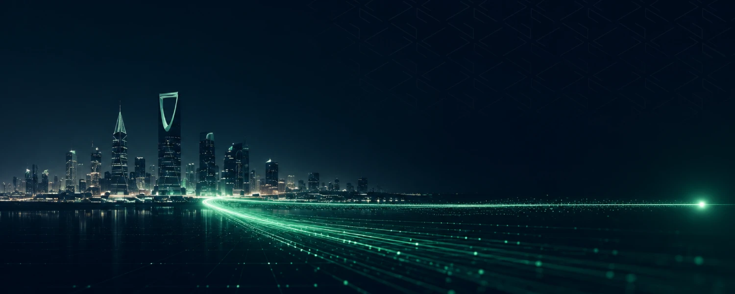 A Digitally Enabled State Using its government resources